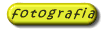 fot00067.gif (1407 byte)