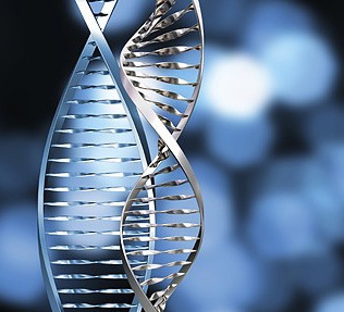 Genotechnology DNA