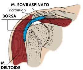 Dr Membrino borsa SAD